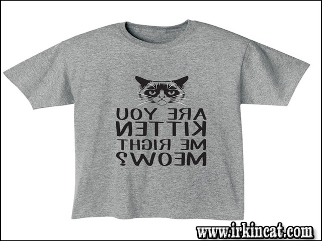 Are You Kitten Me Right Meow Shirt