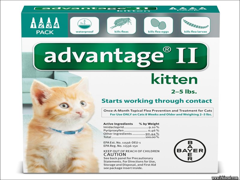 Advantage Ii For Kittens
