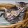 One of the Most Ignored Answers for Bengal Kittens For Sale In Ct