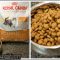 The Good, the Bad and Best Cat Food For Kittens