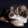 The Most Ignored Answer for Calico Persian Kittens For Sale
