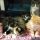Rescuing Kittens In New Jersey: A Guide To Animal Shelters And Rescue Centers